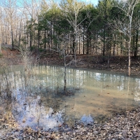 HUNTING LAND FOR SALE IN ZION ARKANSAS images 2