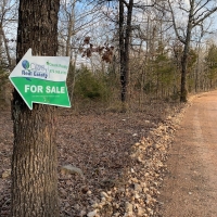 HUNTING LAND FOR SALE IN ZION ARKANSAS images 4