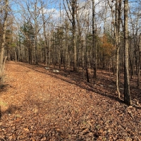 HUNTING LAND FOR SALE IN ZION ARKANSAS images 6
