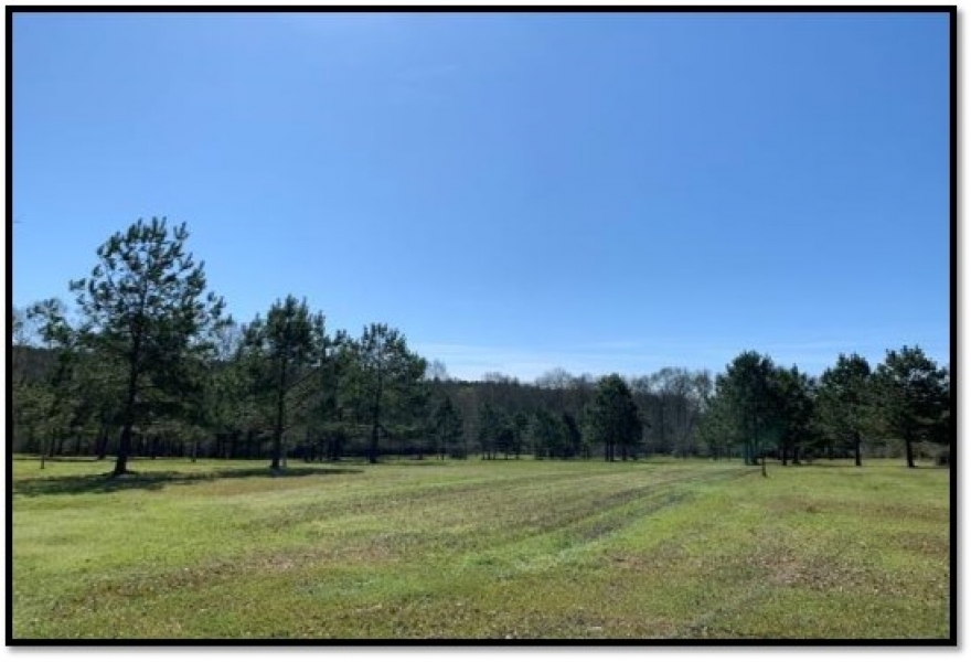 16 Acres in with a Mobile Home in Jefferson Davis County at 8940 Hwy 35 in Prentiss MS featured image