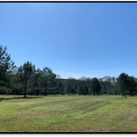 16 Acres in with a Mobile Home in Jefferson Davis County at 8940 Hwy 35 in Prentiss MS