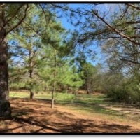 16 Acres in with a Mobile Home in Jefferson Davis County at 8940 Hwy 35 in Prentiss MS images 4