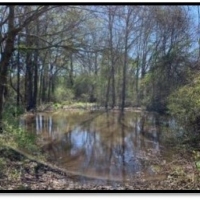 16 Acres in with a Mobile Home in Jefferson Davis County at 8940 Hwy 35 in Prentiss MS images 5