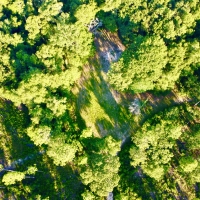 Divisible Spanish Fort Area Timber Home Site or Hunting Land images 5