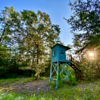 Divisible Spanish Fort Area Timber Home Site or Hunting Land