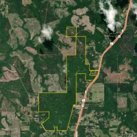 Divisible Spanish Fort Area Timber Home Site or Hunting Land images 4
