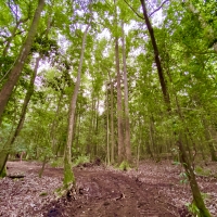 The Spanish Fort Ridge Tract images 2