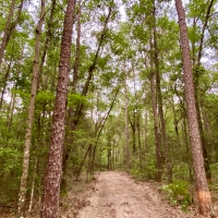 The Spanish Fort Ridge Tract images 4