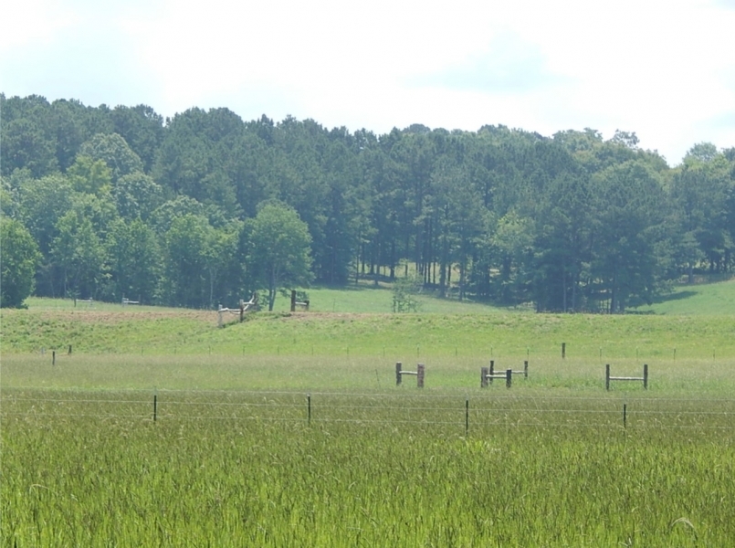 675 Acres in Jasper County in Louin MS featured image
