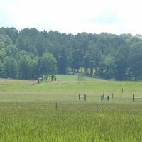 675 Acres in Jasper County in Louin MS images 1