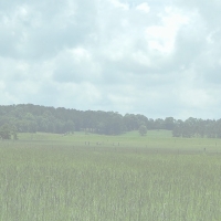 675 Acres in Jasper County in Louin MS images 2