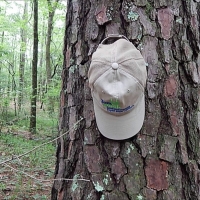 675 Acres in Jasper County in Louin MS images 4