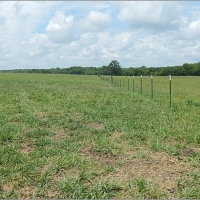 675 Acres in Jasper County in Louin MS images 5