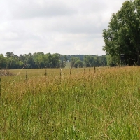 675 Acres in Jasper County in Louin MS images 6
