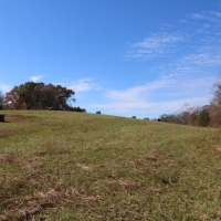 60 Acres - 1374 Kelly Mill Road Stuart VA 2471 South Fork Mayo River images 2