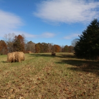 60 Acres - 1374 Kelly Mill Road Stuart VA 2471 South Fork Mayo River images 3