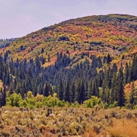 Seven Lakes Ranch images 4