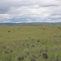 Hail Ridge Farm