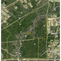 440 Acres Cow Bayou