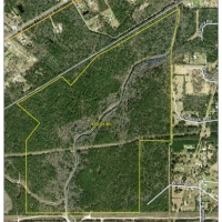 440 Acres Cow Bayou images 2