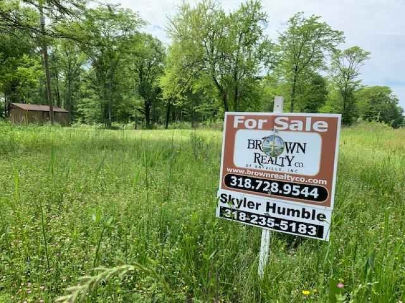 LA - Catahoula Olivo 23 acres - featured image