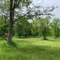 LA - Catahoula Olivo 23 acres - images 2