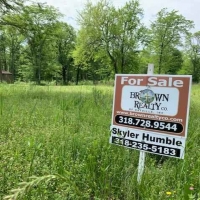 LA - Catahoula Olivo 23 acres - images 4