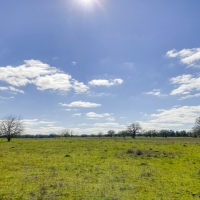 19 Acres Tract 3 Mustang Oaks images 4
