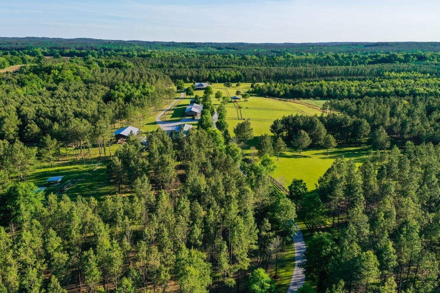 La Potencia III Ranch featured image