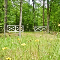 BOUNDS BRANCH - 27 ACRES - BOSSIER PARISH LA images 2