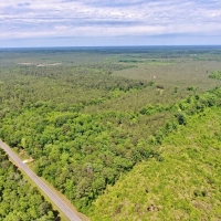 BOUNDS BRANCH - 27 ACRES - BOSSIER PARISH LA images 4