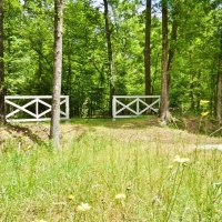 BOUNDS BRANCH - 27 ACRES - BOSSIER PARISH LA images 5