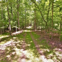 BOUNDS BRANCH - 27 ACRES - BOSSIER PARISH LA images 6