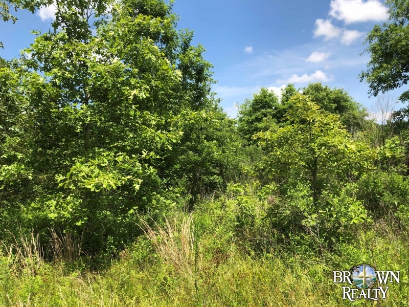 LA - Richland Southside 79 acres - featured image