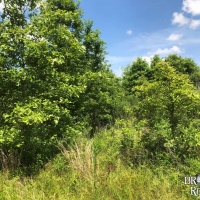 LA - Richland Southside 79 acres -