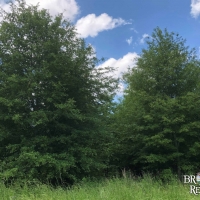 LA - Richland Southside 79 acres - images 3