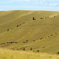 R BAR N RANCH RACETRACK UNITS images 2