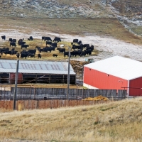 R BAR N RANCH RACETRACK UNITS images 5