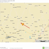109.24 Acres Timber Land for Sale Taylorsville Jones Co MS images 4