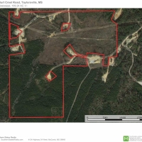 109.24 Acres Timber Land for Sale Taylorsville Jones Co MS images 5