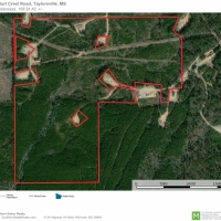 109.24 Acres Timber Land for Sale Taylorsville Jones Co MS images 6