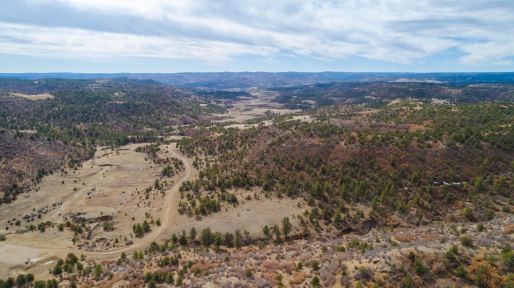 TBD 240 Acres Weston CO featured image