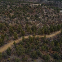 TBD 240 Acres Weston CO images 5