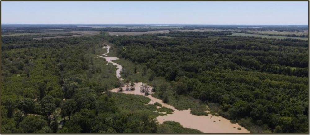 610.48 Acres in Issaquena County Big Slough Farms in Mayersville MS featured image