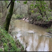 169 Acres in Amite County in Gloster MS