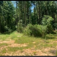 169 Acres in Amite County in Gloster MS images 2