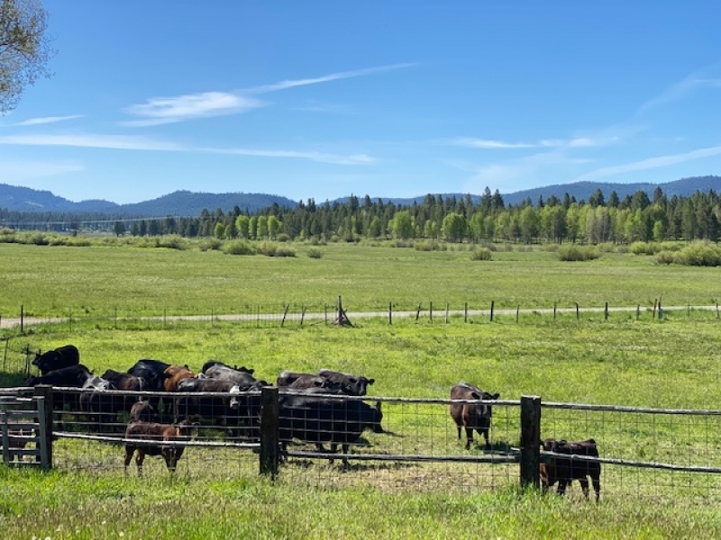 Whitney Valley Ranch featured image