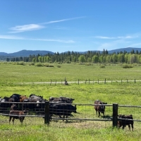 Whitney Valley Ranch
