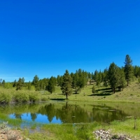 Whitney Valley Ranch images 2