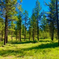 Whitney Valley Ranch images 4